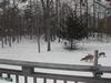 DSCN0245.JPG